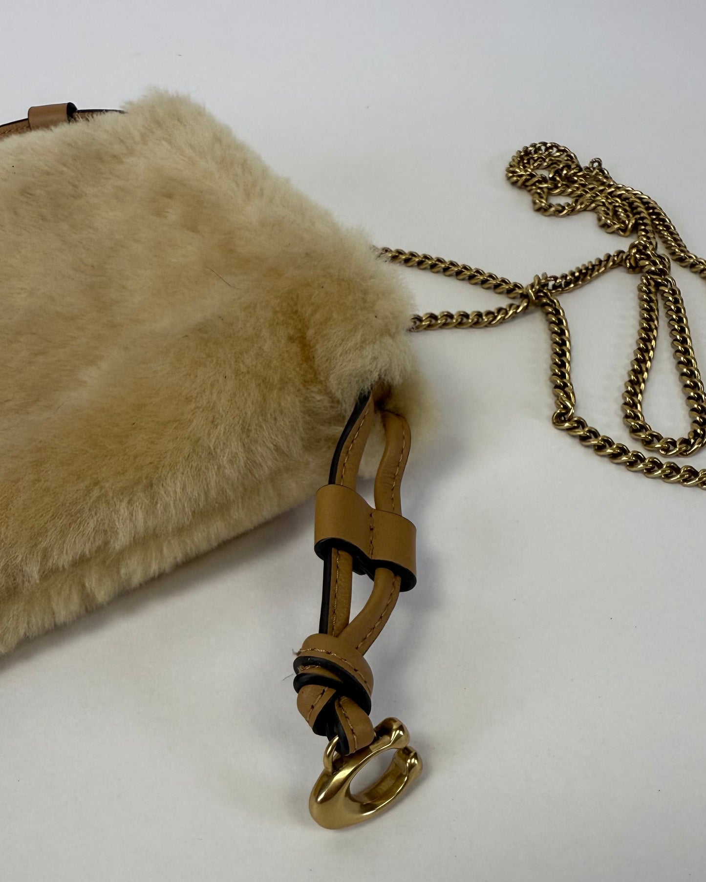 Shearling Coach Crossbody